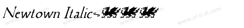 Newtown Italic字体转换